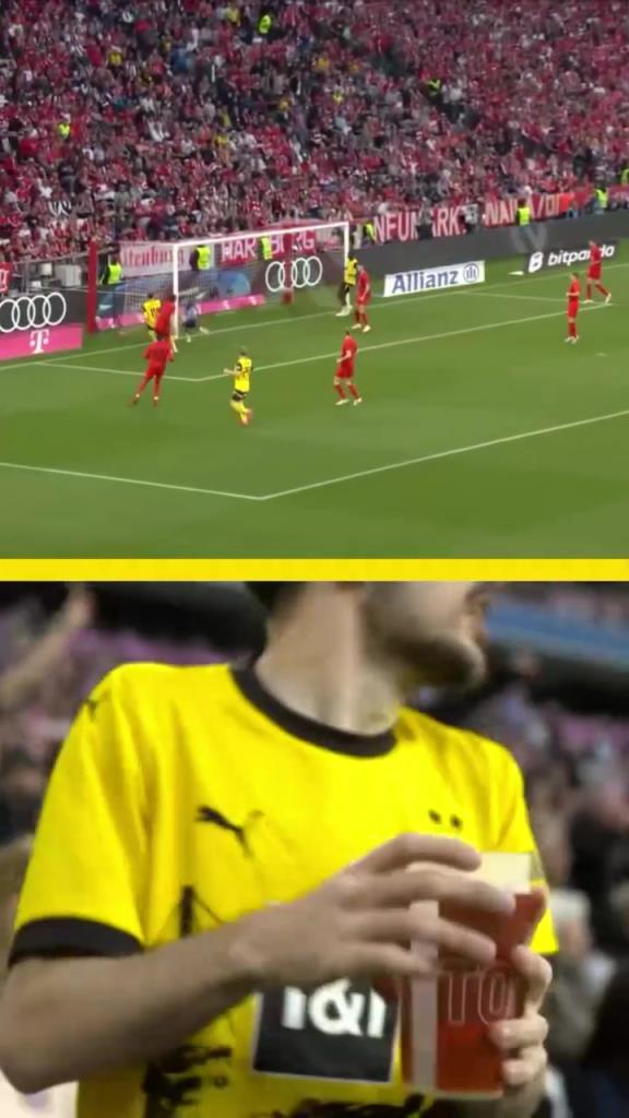 勇者無(wú)懼！這是真多特球迷！在拜仁球迷區(qū)一個(gè)人肆意慶祝！